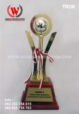 Piala Kontes Literasi Matematika