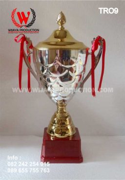 Bikin Piala Murah