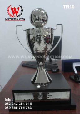 Piala Bergilir Voli