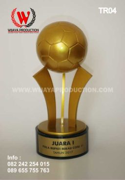 Piala Bupati Cup Berau