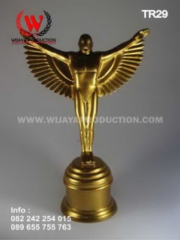 Piala Award Material Fiber