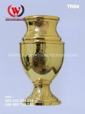 Piala Bupati Sorsel Cup