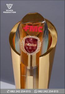 Detail Piala FMC FMChamp
