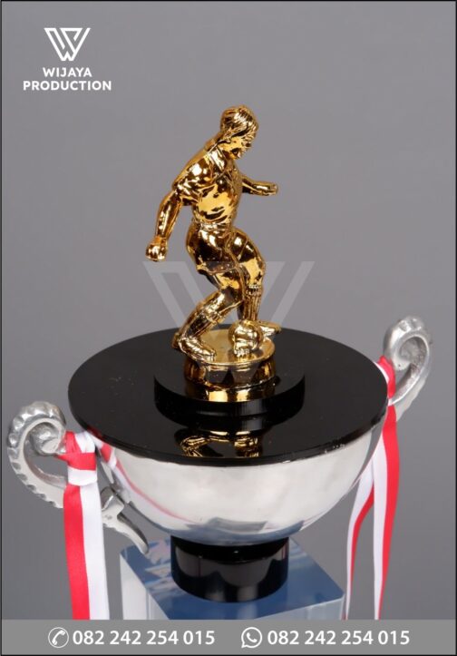 Detail Piala Juara Pertamina Futsal League