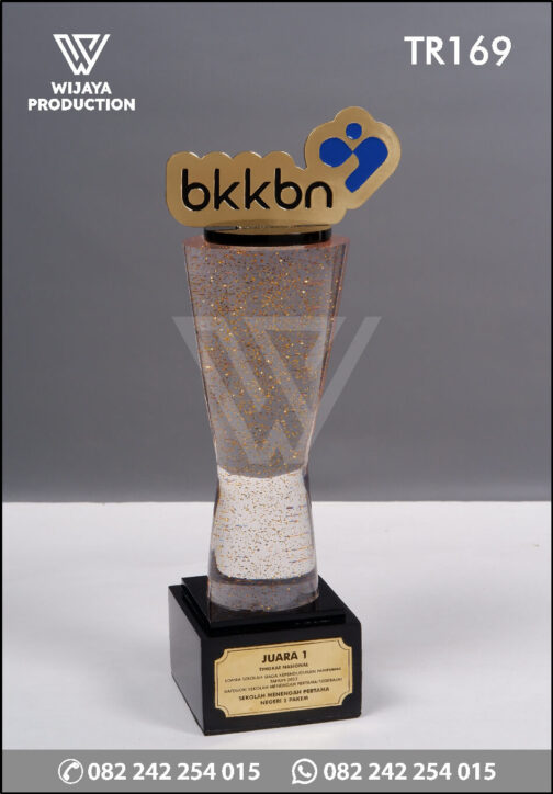 Piala Juara BKKBN Tingkat Nasional