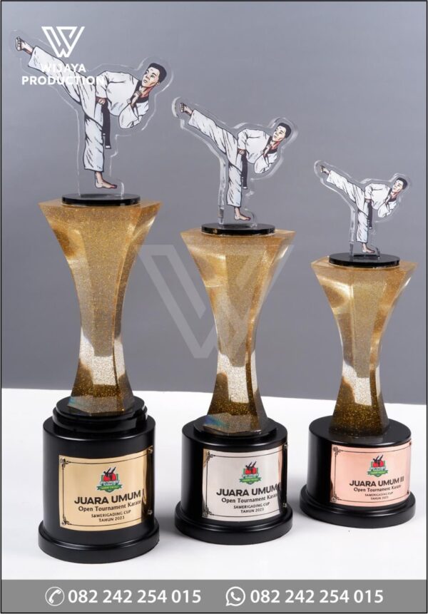 Detail Piala Juara Umum Open Tournament Karate