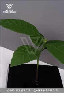 Detail Souvenir Miniatur Cocoa Plant Seeds Cocoa Land Bali