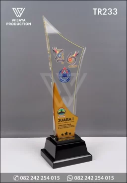 Piala Juara Lomba Pawai Praja