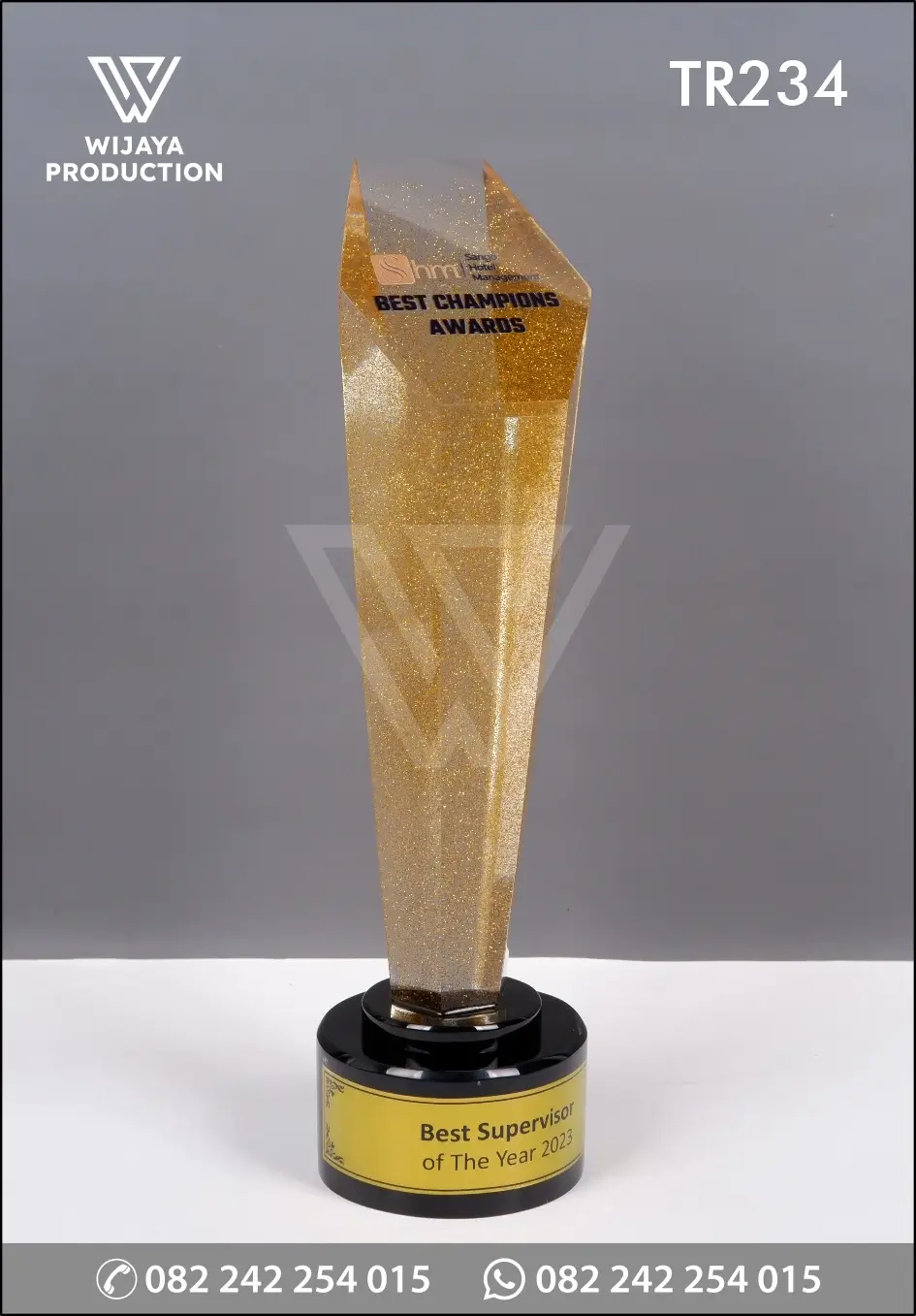 Piala Resin SHM Best Champions Awards