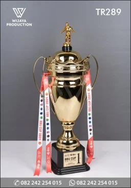 Trophy BBU Cup Mini So...