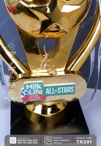 Detail Piala Custom Milk Life Soccer Challenge All Stars